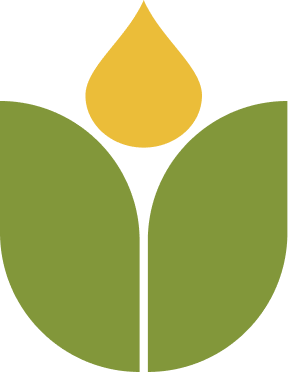 Ngô Mochi