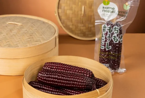 Giá Trị Dinh Dưỡng Của Ngô Nếp Dinh Dưỡng Nhật Bản