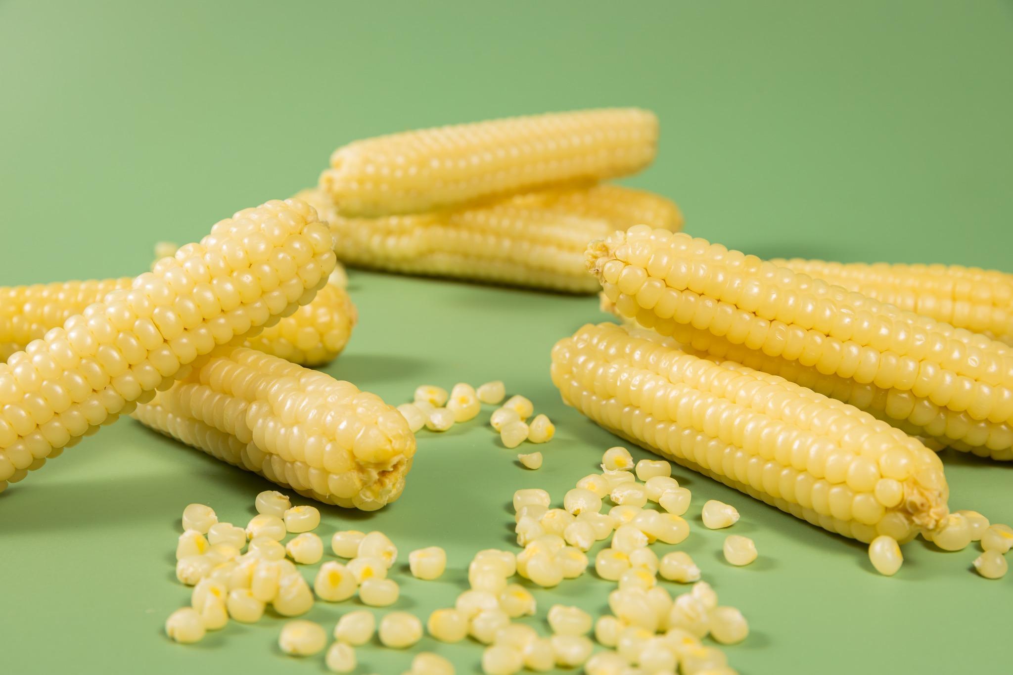 Ngô nếp trắng Nhật Bản Kamenozoki: Vị dẻo tinh khôi và hương thơm sữa non thuần khiết