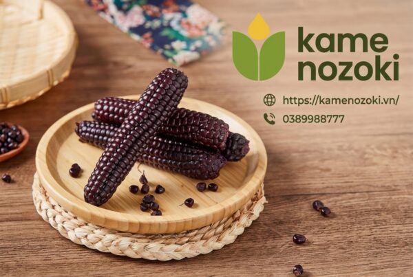 Ngô Nếp Nhật Bản Kamenozoki