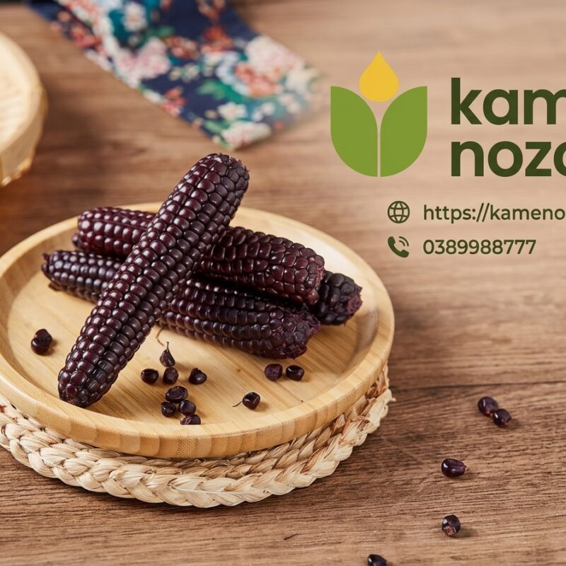 Ngô Nếp Nhật Bản Kamenozoki